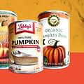 canned pumpkin puree