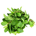 fresh mint leaves