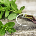 mint leaves