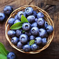 fresh blueberries