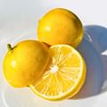 Fresh Lemon