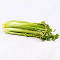 celery stick