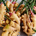 fresh ginger