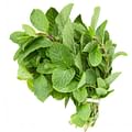 fresh mint leaves