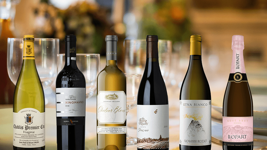 O.Vine alcohol-free wine bottles